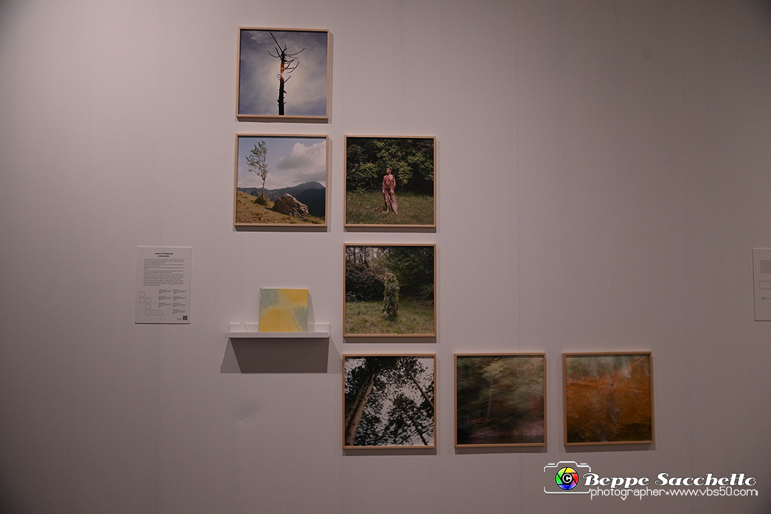 VBS_0860 - Mostra Liquida Photofestival.jpg